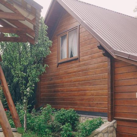 Будиночок В Карпатах Γιαρέμτσε Εξωτερικό φωτογραφία