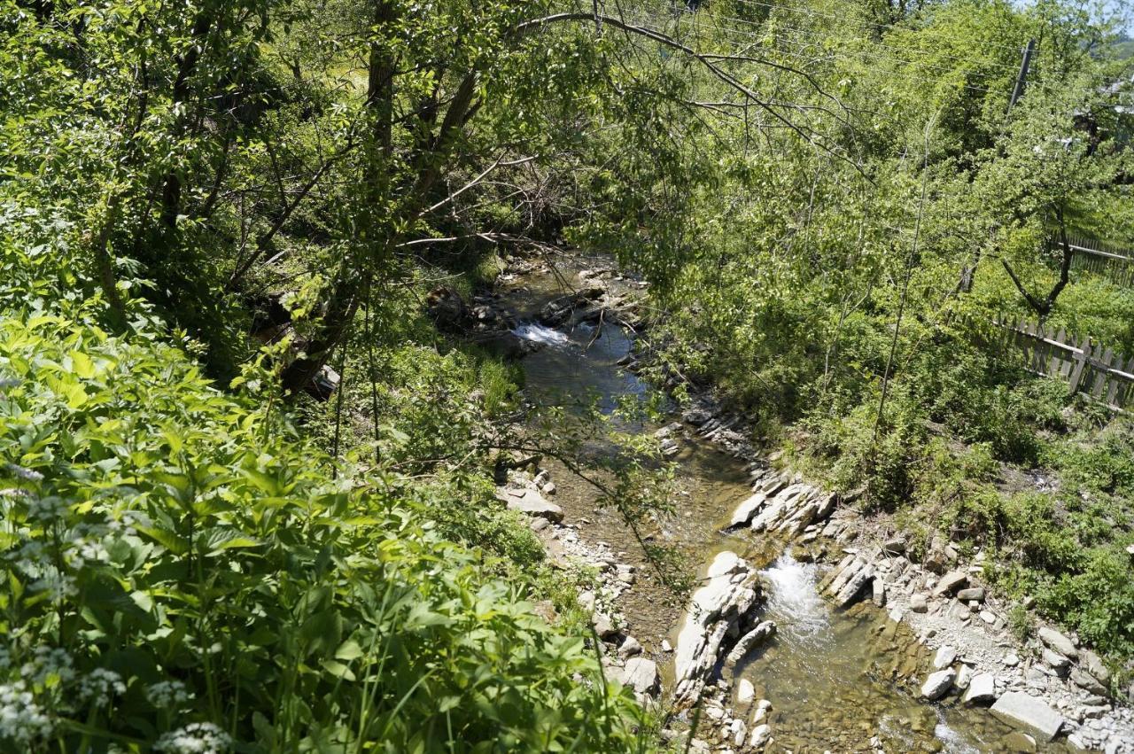 Будиночок В Карпатах Γιαρέμτσε Εξωτερικό φωτογραφία
